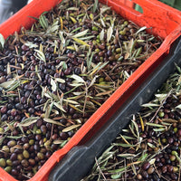 Certified Organic Ancient Italian Olive Oil 2024 Harvest