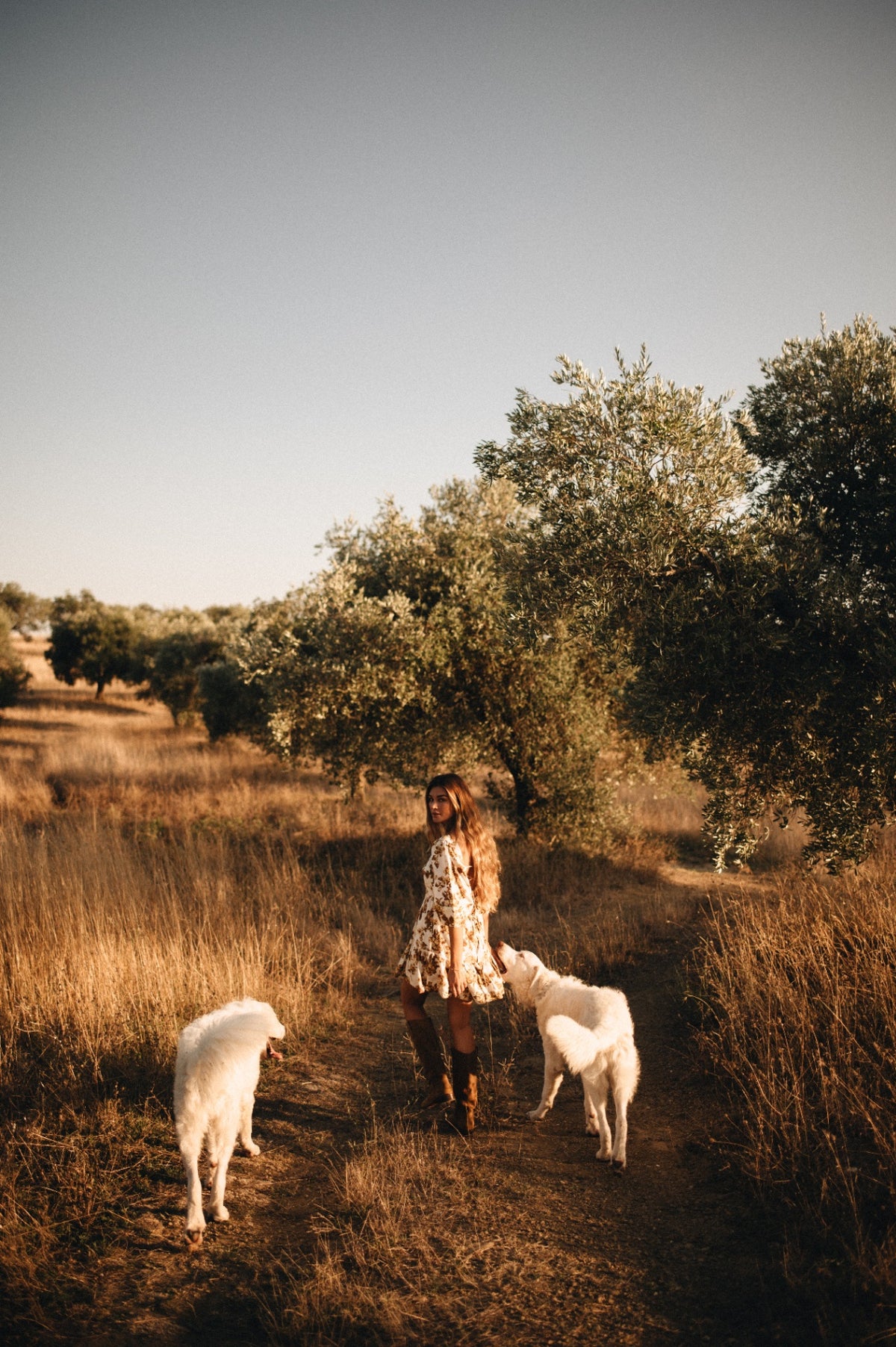 oliveoil-farm-dogs-grove