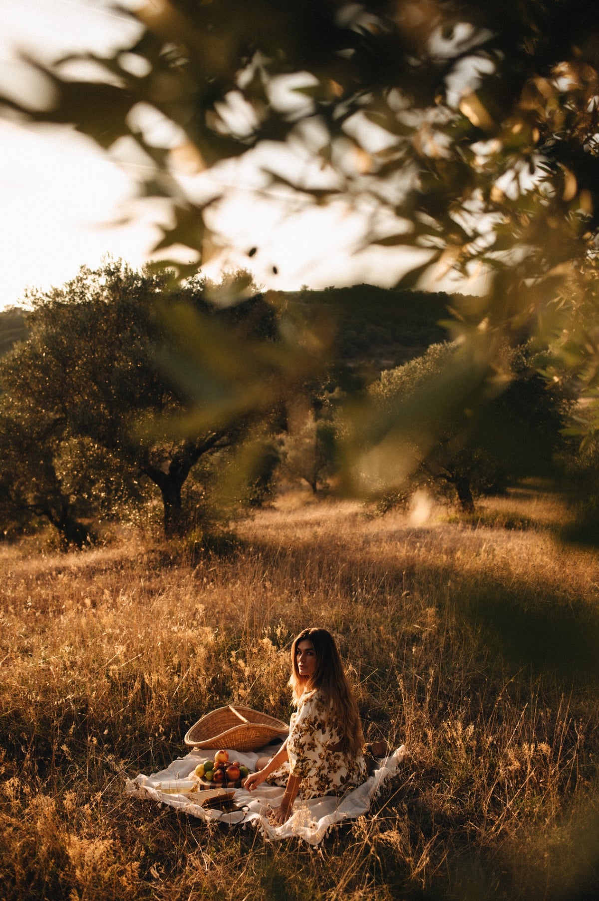 oliveoil-farm-picnic-trees